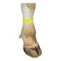 Bovine hook and loop bracelet - Yellow - 10/Pkg
