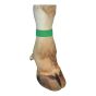 Bovine hook and loop bracelet - Green - 10/Pkg