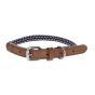 Collier pour chien