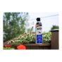 Ortho Wasp B Gon Max wasp killer spray aerosol
