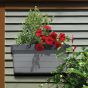 Botanica Hanging Garden perfect for rails and walls