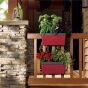 Botanica Hanging Garden - Red