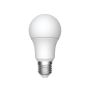 Ampoules DEL, A19, 9 W, lumière du jour, 6/pqt