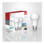 Ampoules DEL, A19, 9 W, lumière du jour, 2/pqt