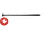 Clous communs brillants, 3 1/2", 50 lb