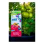 Tomato Fertilizer 4-6-8 - 1.5 kg