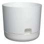 Self-Watering Oasis Planter - White - 6"