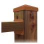 Plaque horizontale Fixplak 24H, 2" x 4", cèdre