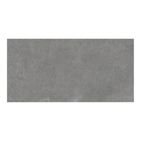Tuile de porcelaine, plancher, Sonder, anthracite, mat, 12" x 24"