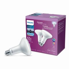 Ampoules DEL BR30, 65 W, Lumière du jour, 2/pqt