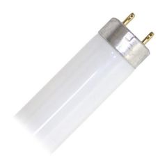 Tube fluorescent, T8, blanc froid, 15 W, 18"