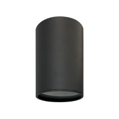 Lauren 1-Light Ceiling Fixture - Black - 12 cm