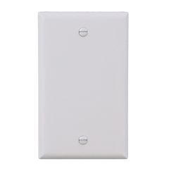 Wallplate - Blank - 1 Gang - Plastic - White
