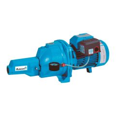 Pompe jet convertible, fonte, 3/4 CV