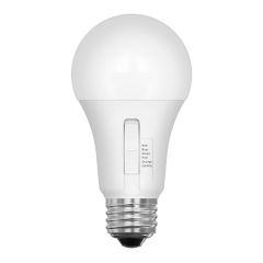 Ampoule DEL A19, 5 W, 5 couleurs