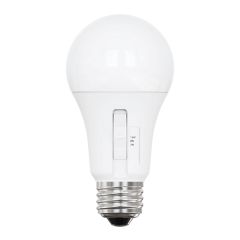 Ampoule DEL A19, 2/8/15 W, intensité variable