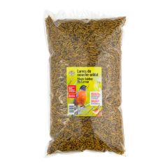 Larves de mouche soldat, 2 kg