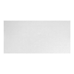 Panneau de plafond, 2' x 4', 8/pqt, couvre 64 pi²