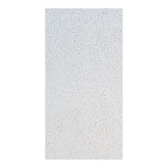 Panneau de plafond, modèle 280, 2' x 4', 8/pqt, couvre 64 pi131