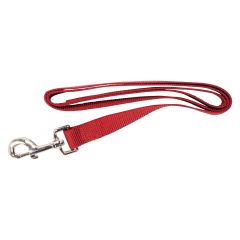 Laisse simple, rouge, 1" x 48"