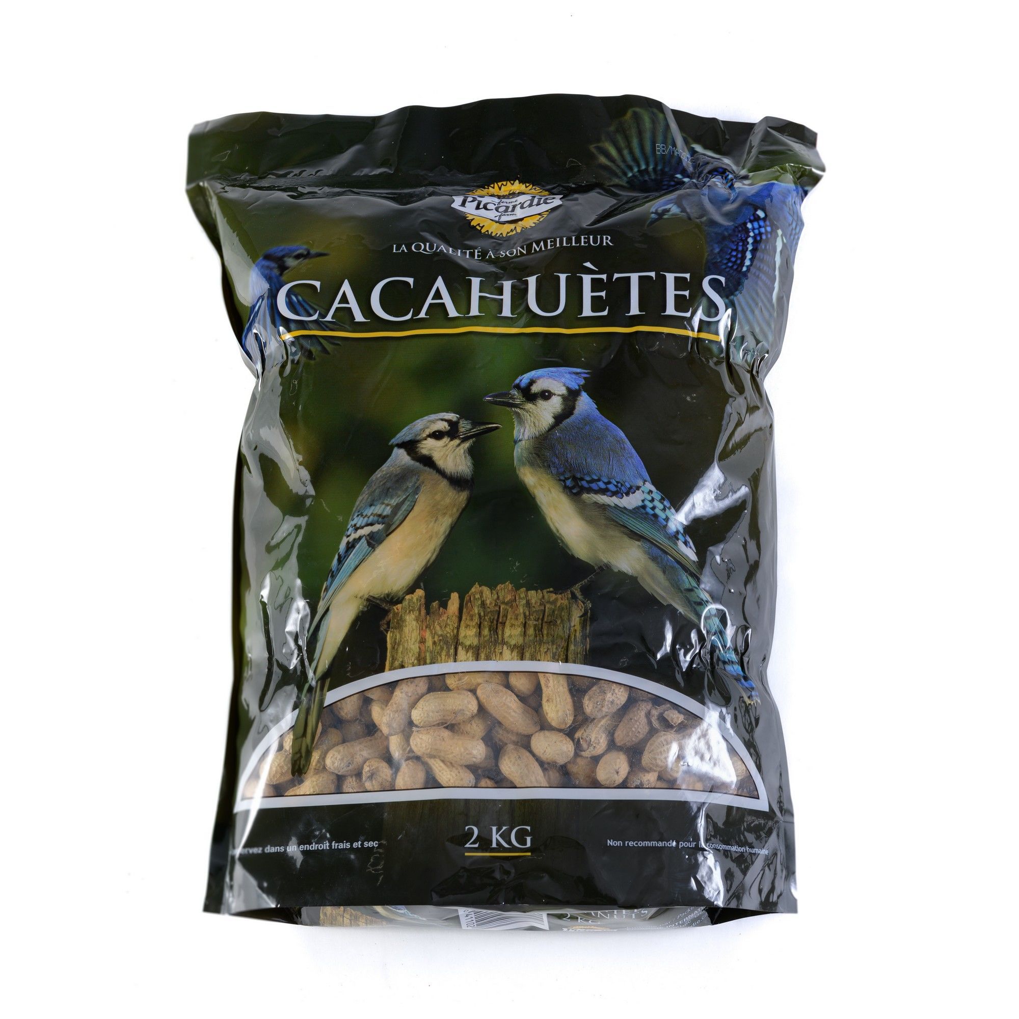Cacahuètes pour oiseaux sauvages de PICARDIE