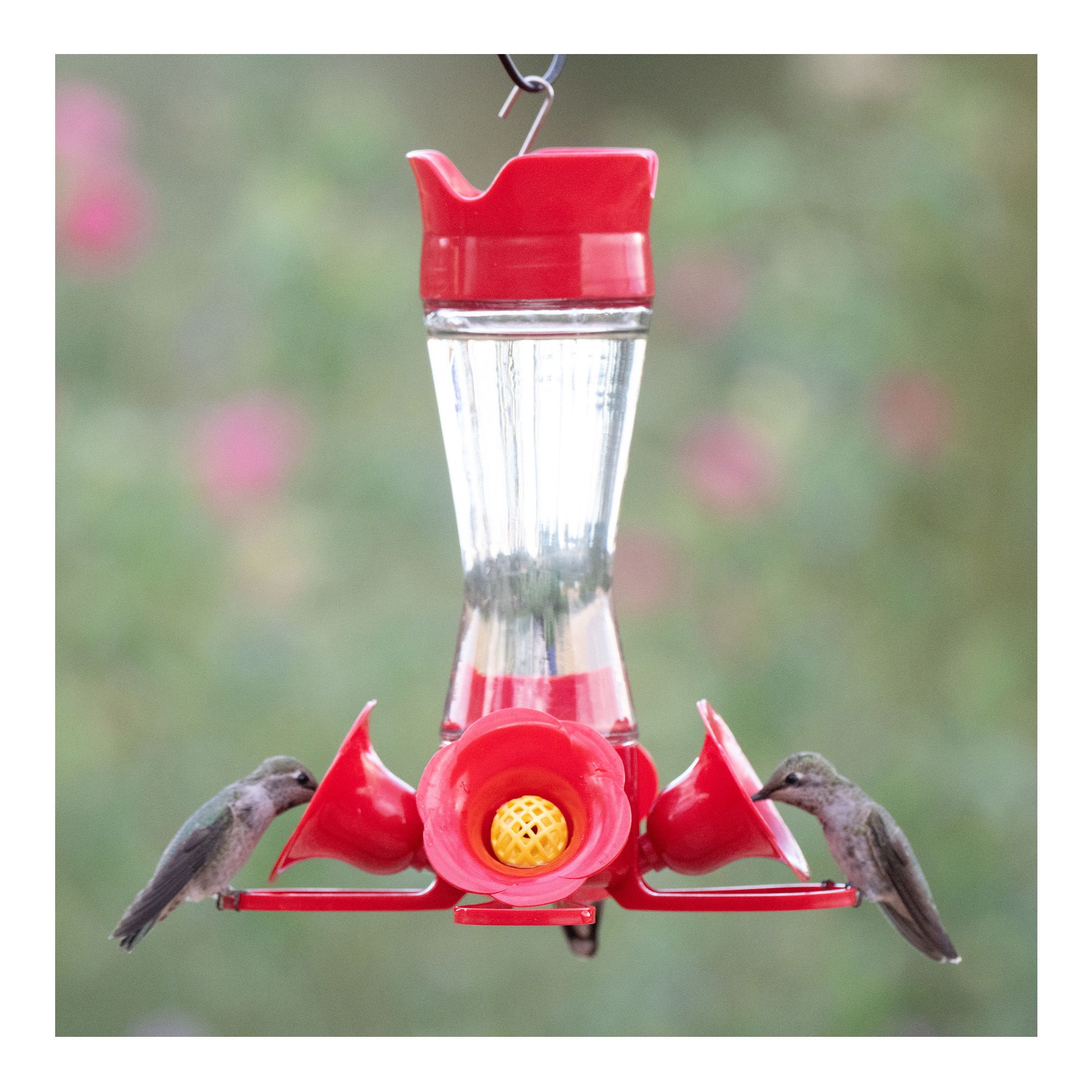 Type de suspension Mangeoire pour oiseaux Maison d'oiseau Mangeoire colibri
