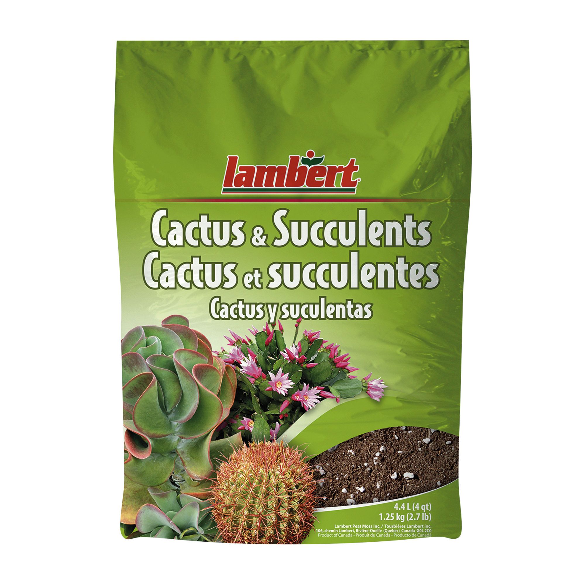 Terreau pour cactus et succulentes