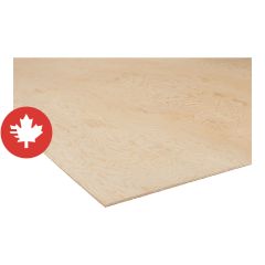 5/8" (14mm) x 4' x 8' Contreplaqué de sapin Douglas