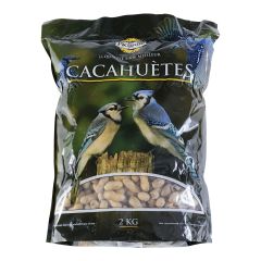 Cacahuètes pour oiseaux sauvages