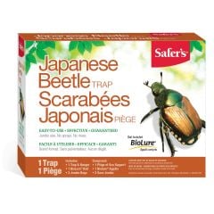 Japanese beetle trap