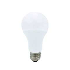 Ampoule DEL A21, lumière du jour, 17 W
