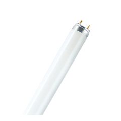 Fluorescent Tube - Daylight - 18" - T8 - 15 W