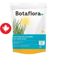Semences de gazon mélange soleil, 1 kg
