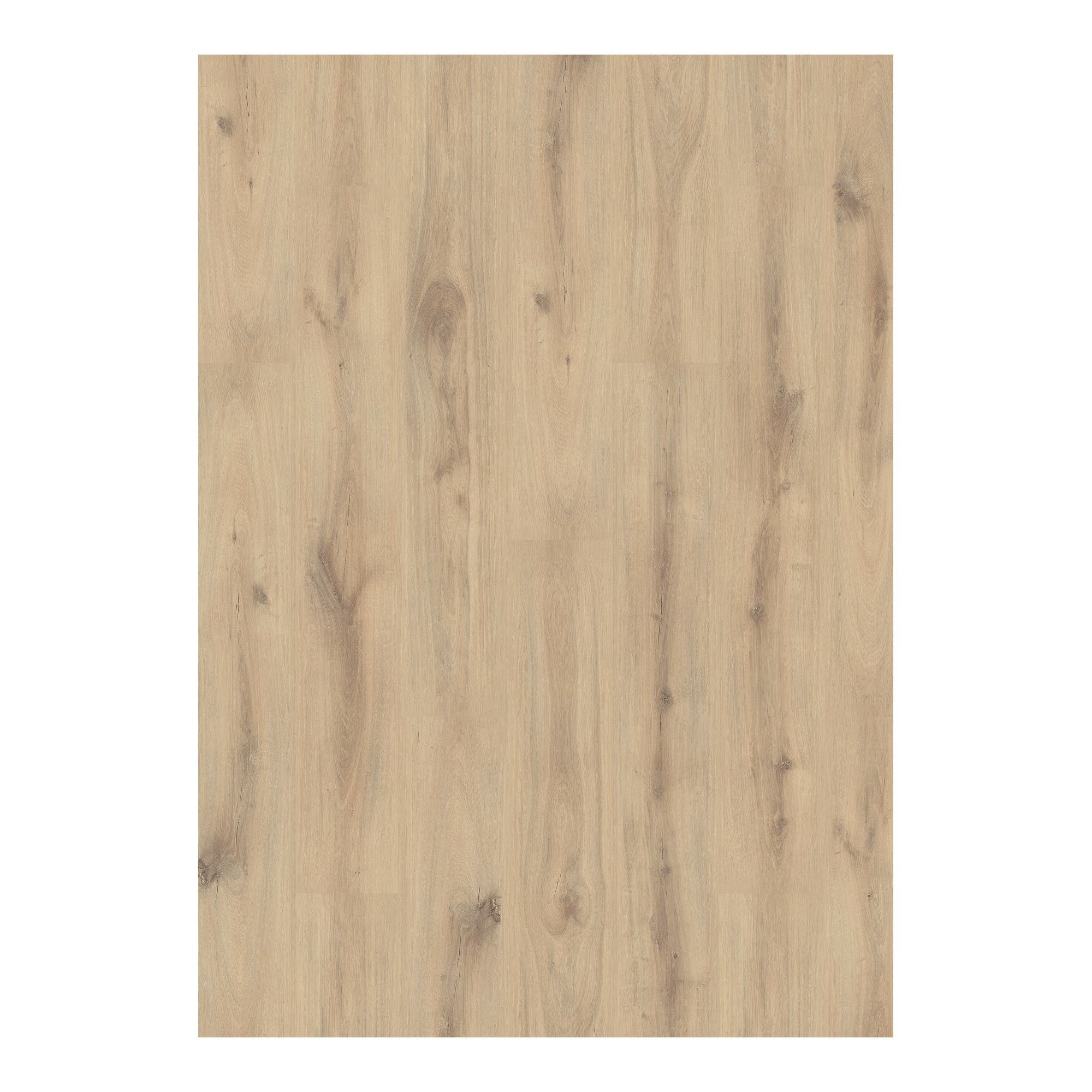 Laminate Flooring - AC4 - 8 mm - Euro - Clear Oak - 8" x 51"