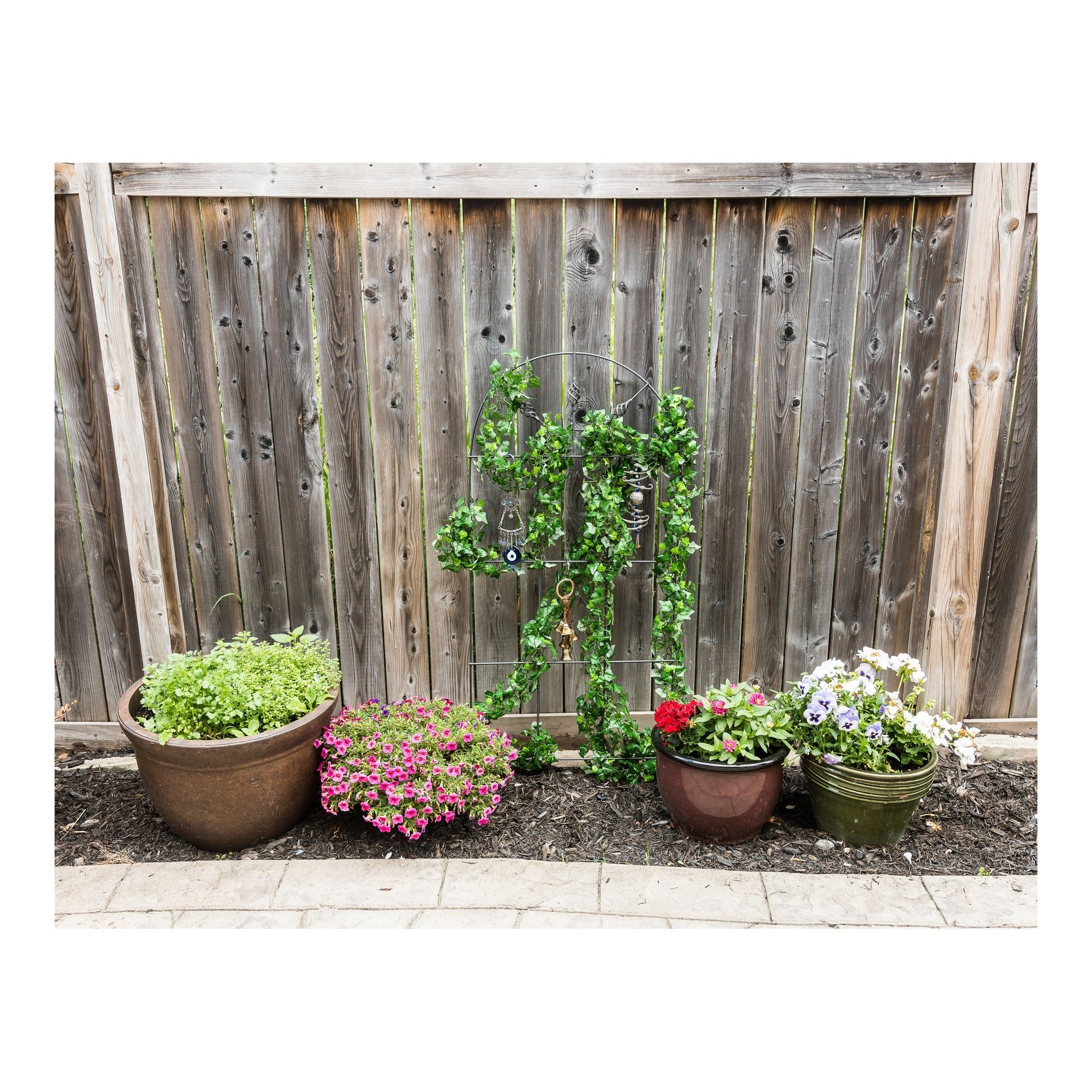 Trellis for Climbing Plants - Venetian Model - 60