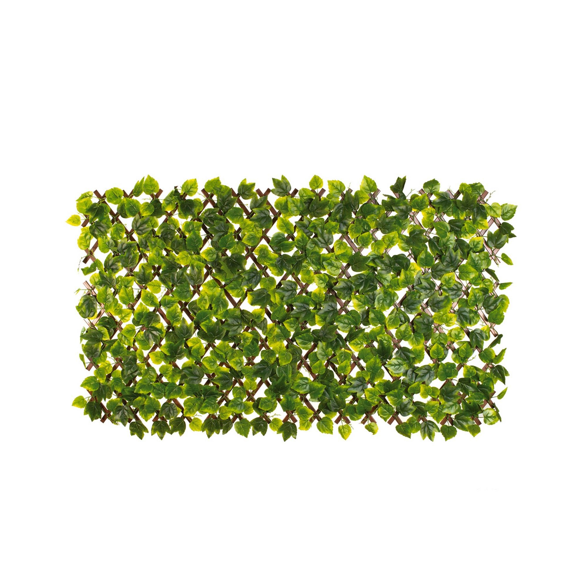 Treillis extensible, mélange d'érable, 36" x 72"