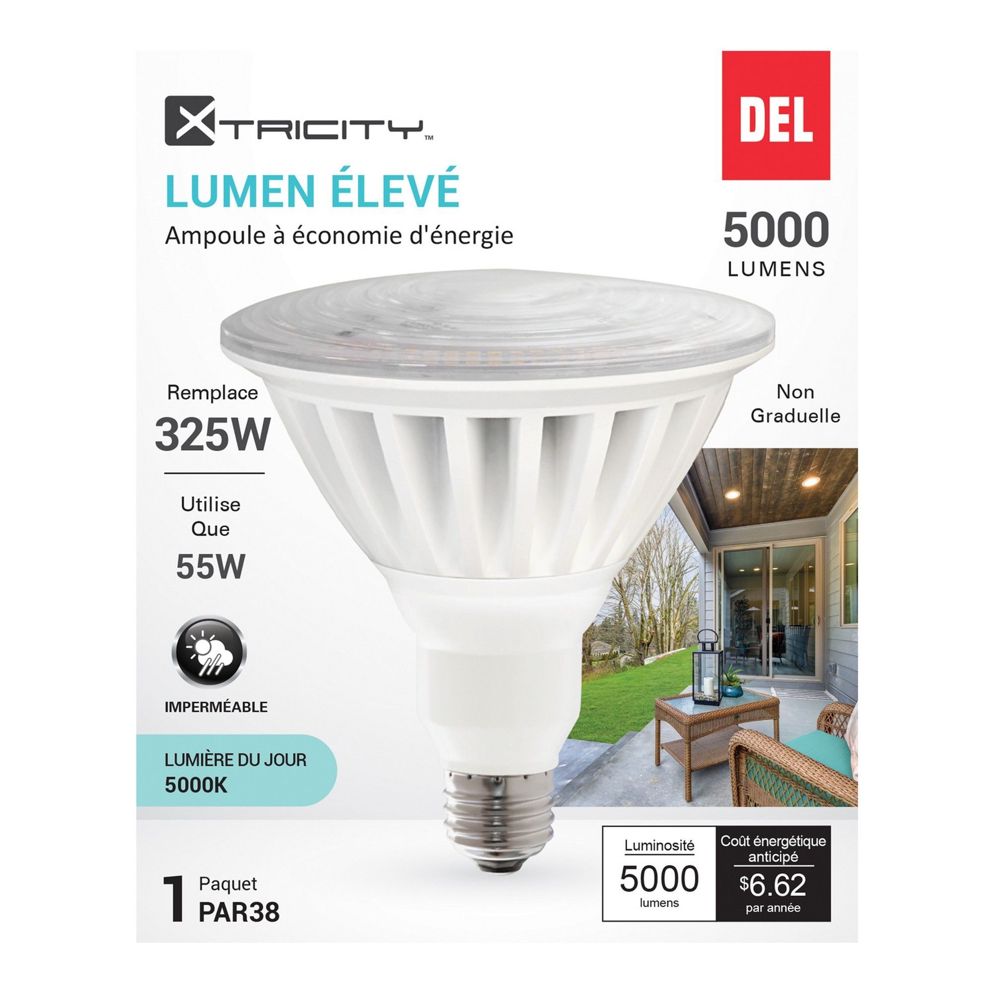 Ampoule DEL, PAR38, 325 W, lumière du jour