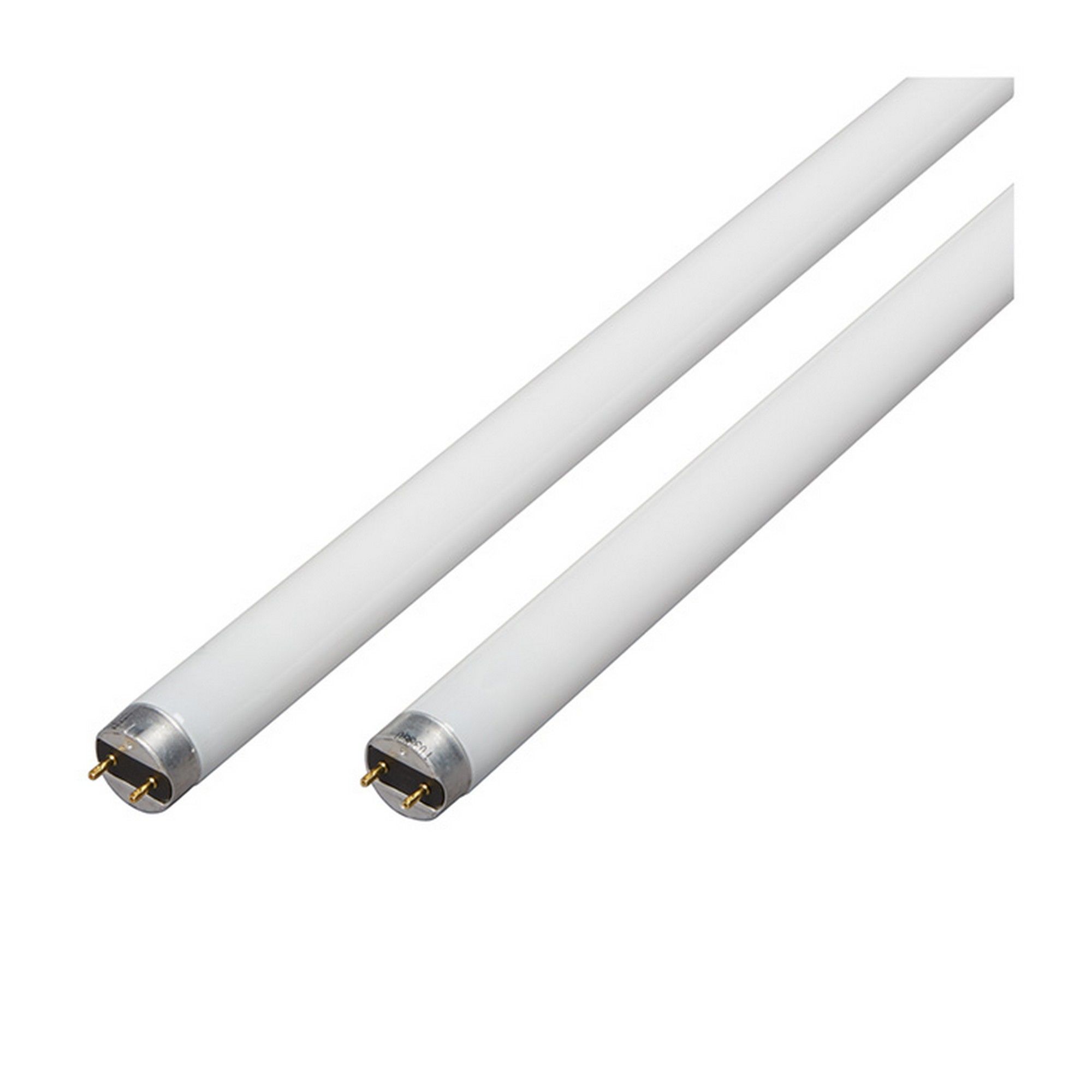 Tube fluorescent, T8, lumière du jour, 32 W, 48", 2/pqt