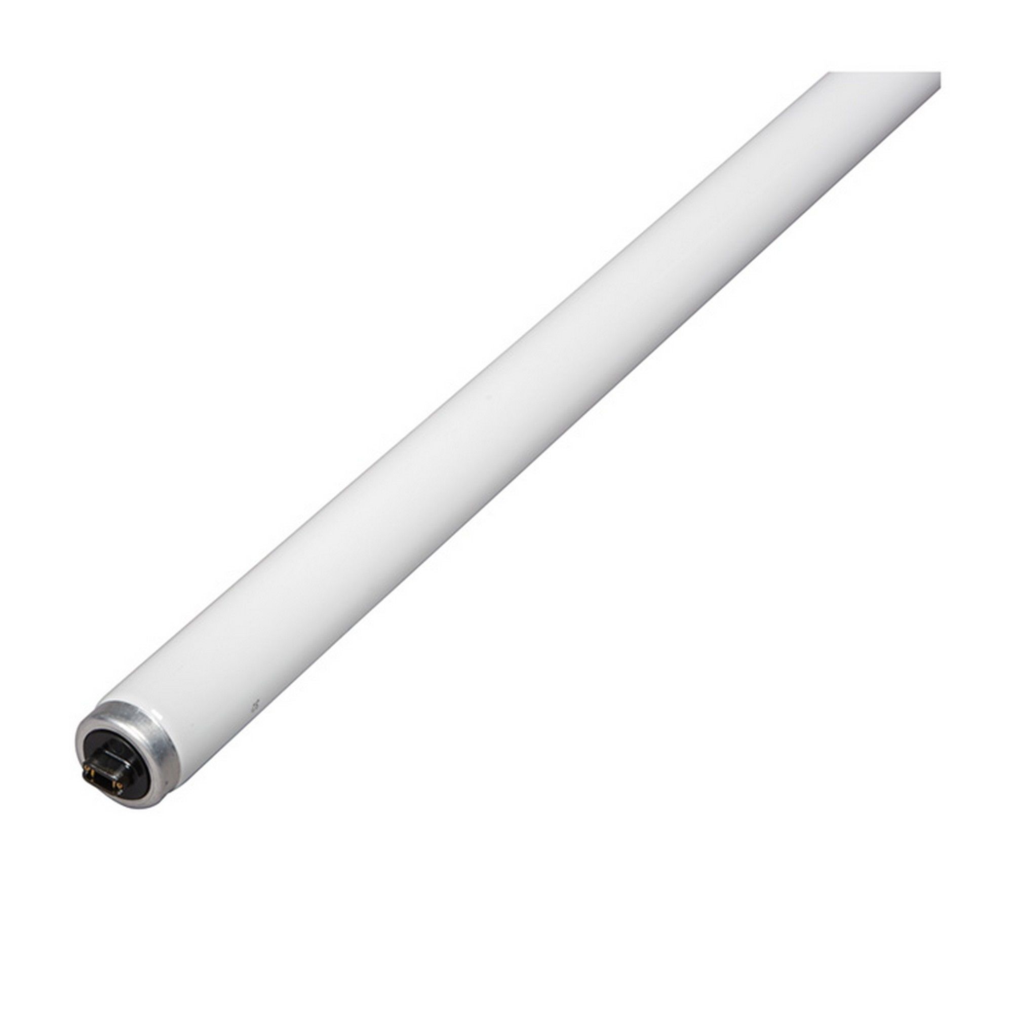 Tube fluorescent, T12, blanc froid, 60 W, 48"