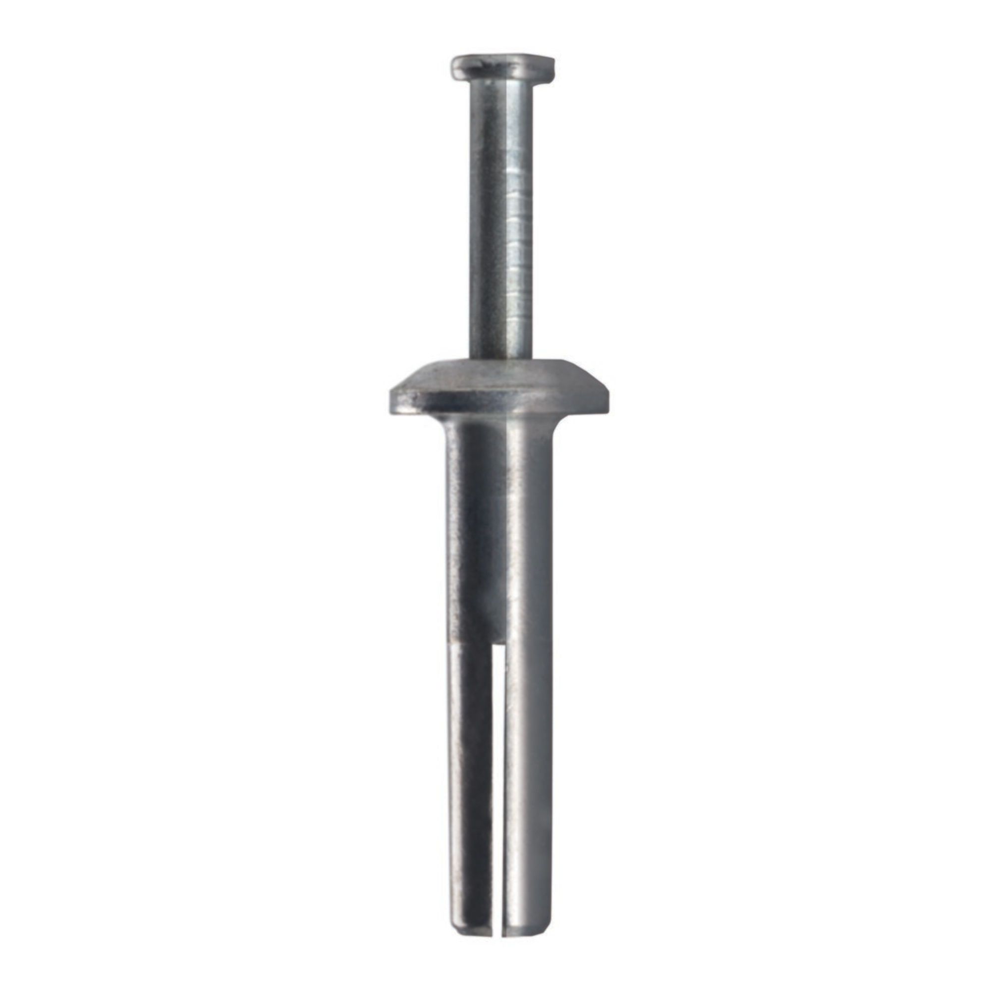 Chevilles avec clous, SS, 1/4 x 1-1/4 po, 100/pqt