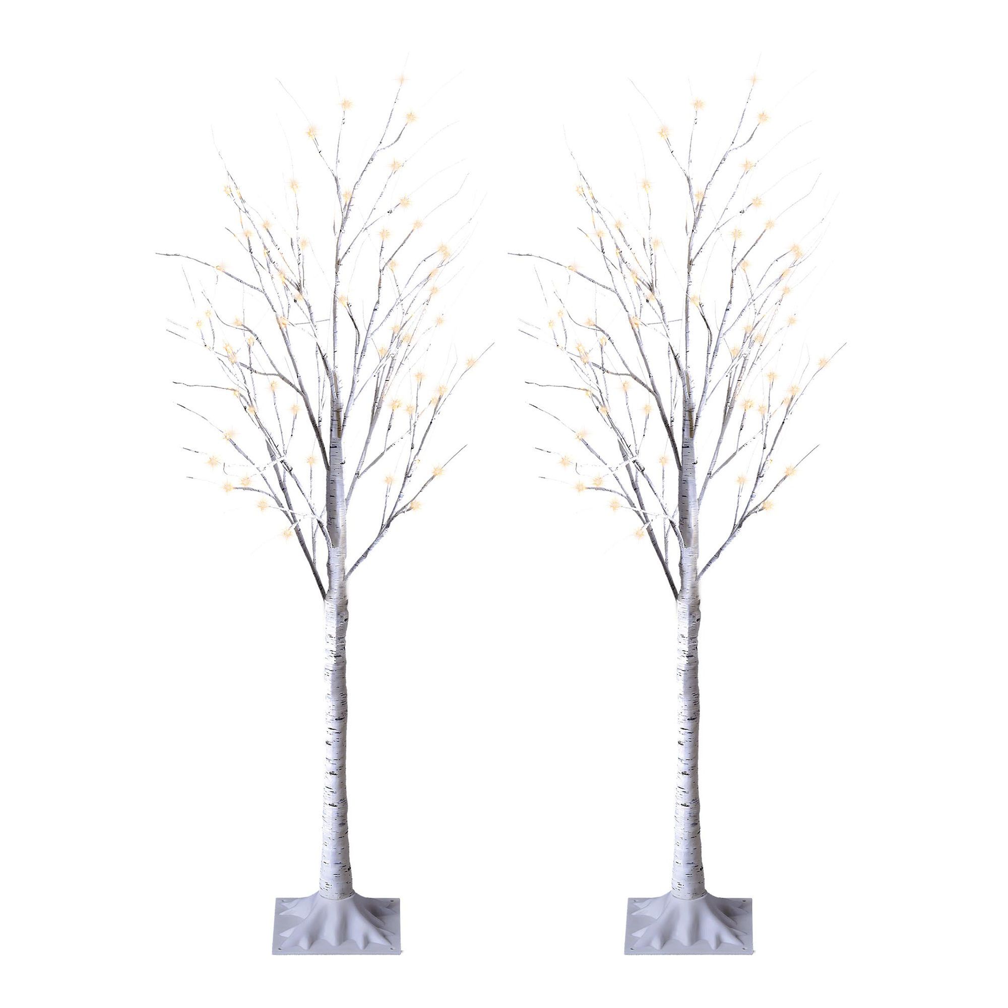 Set of 2 Lighted Birch Trees – 4' – Warm White from DANSON | BMR
