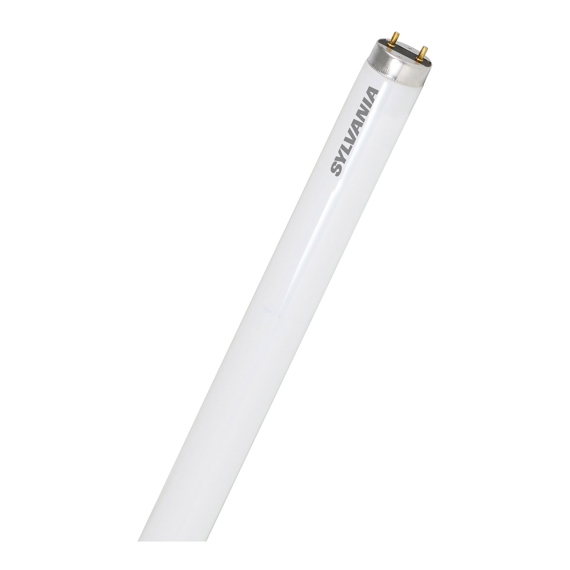 T8 Fluorescent Tube, Daylight, 32W, 48-in, 12/Pkg from SYLVANIA | BMR