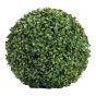 Boxwood Foliage 11-in Ball