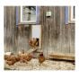 KERBL Mechanical Kit for the Automatic Chicken Coop Sliding Door