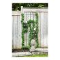 Treillis pour plantes grimpantes, modèle Versailles, 66" x 24"