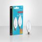 Incandescent Lightbulb - B10 - Chandelier - Clear - Soft White - 2/Pack