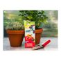 Tomato fertilizer 4-6-8