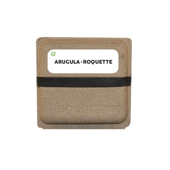 Ensemble de graines à Roquette Vegehome