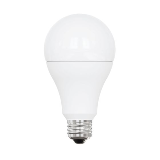 LED Bulbs - A21 - 150 W - Daylight - 2/Pkg