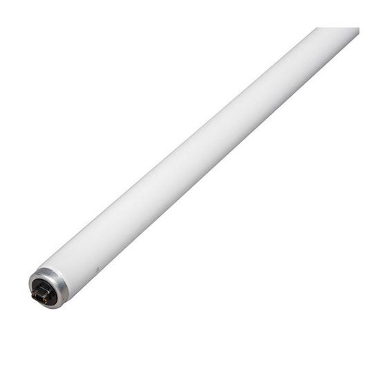 Fluorescent tube - T12 - Cool White - 60 W - 48"